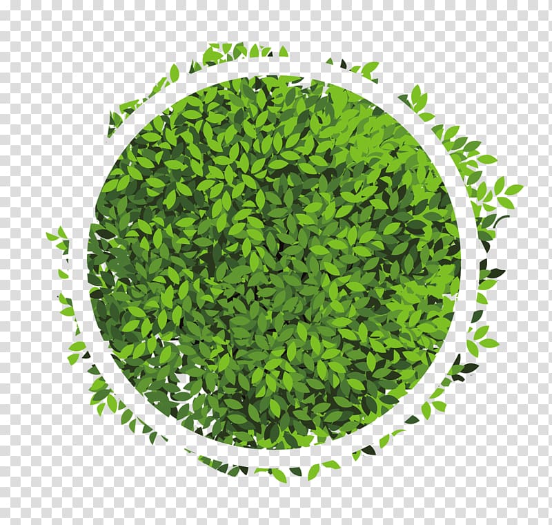green circle leaves effect elements transparent background PNG clipart