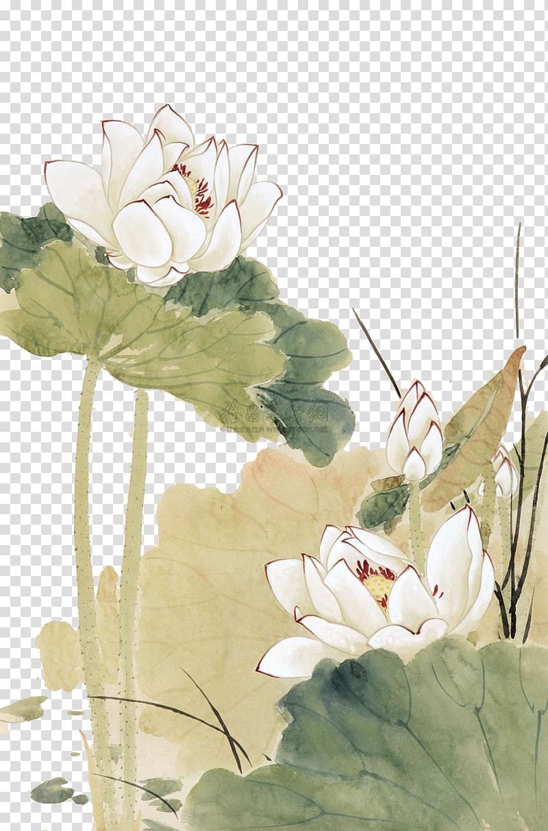 Nelumbo nucifera Chinese painting Gongbi, Yu Zhizhen lotus transparent background PNG clipart