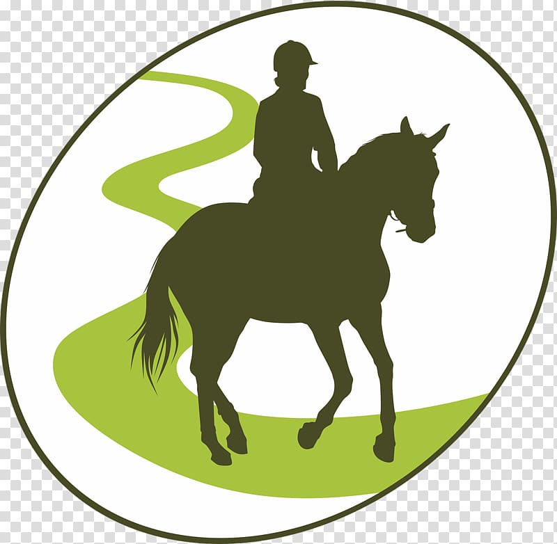 Horse Equestrian Endurance riding , horse transparent background PNG clipart