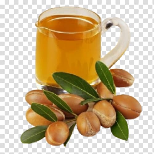 Moroccan cuisine Argan oil Essential oil, argan oil transparent background PNG clipart