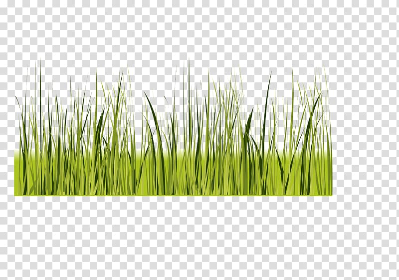 Green, Green Grass Decoration Border Shading transparent background PNG clipart