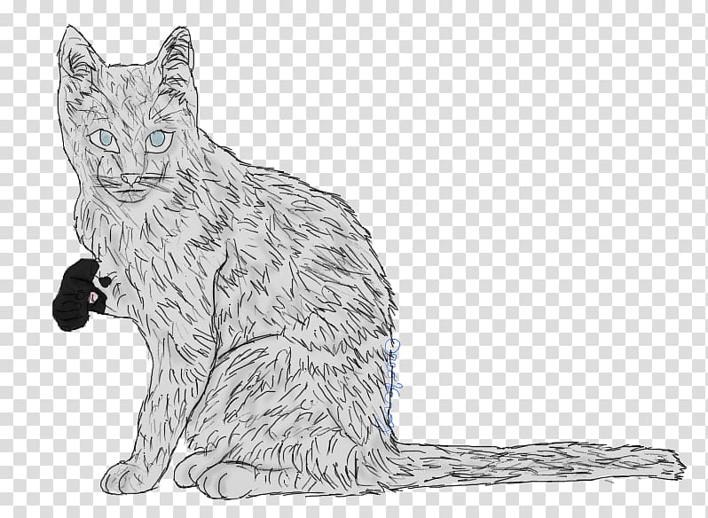 Whiskers Wildcat Domestic short-haired cat Tabby cat, Cat transparent background PNG clipart