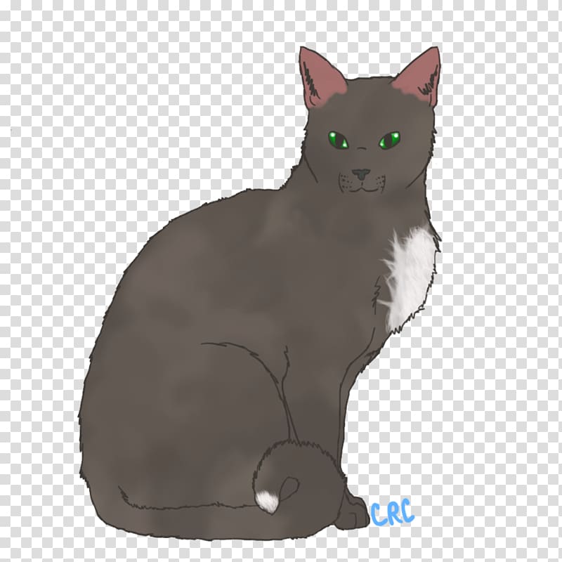 American Wirehair Korat Manx cat German Rex Nebelung, kitten transparent background PNG clipart