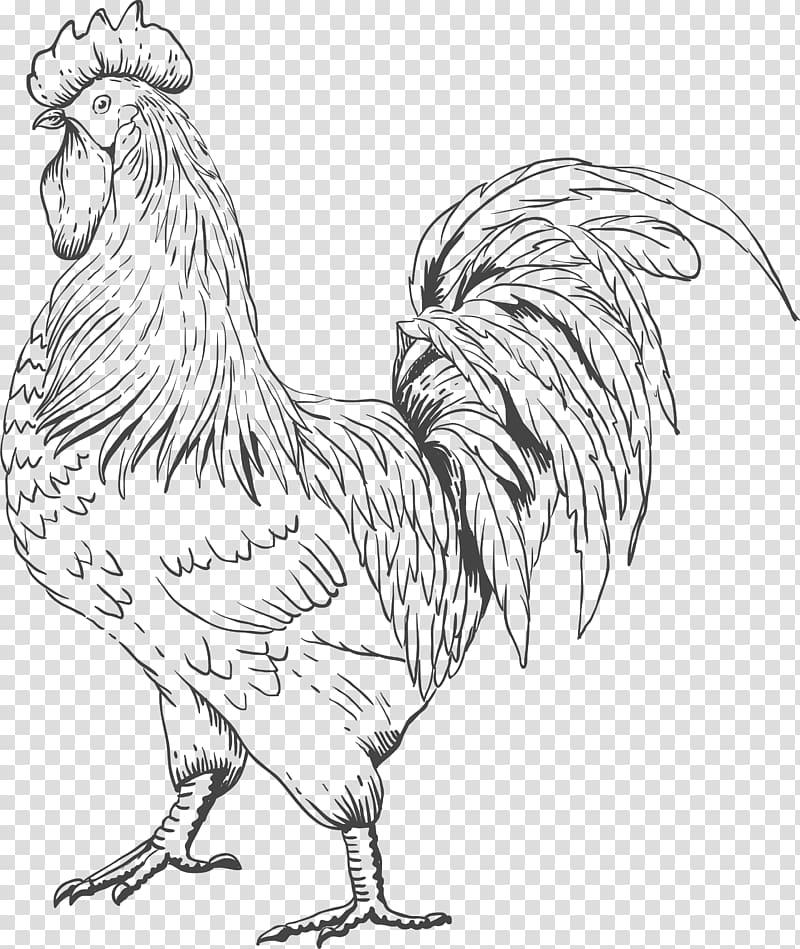 Rooster Chicken Sardinian donkey Farm, chicken transparent background PNG clipart