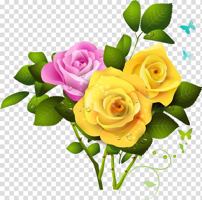 Rose , rose transparent background PNG clipart | HiClipart