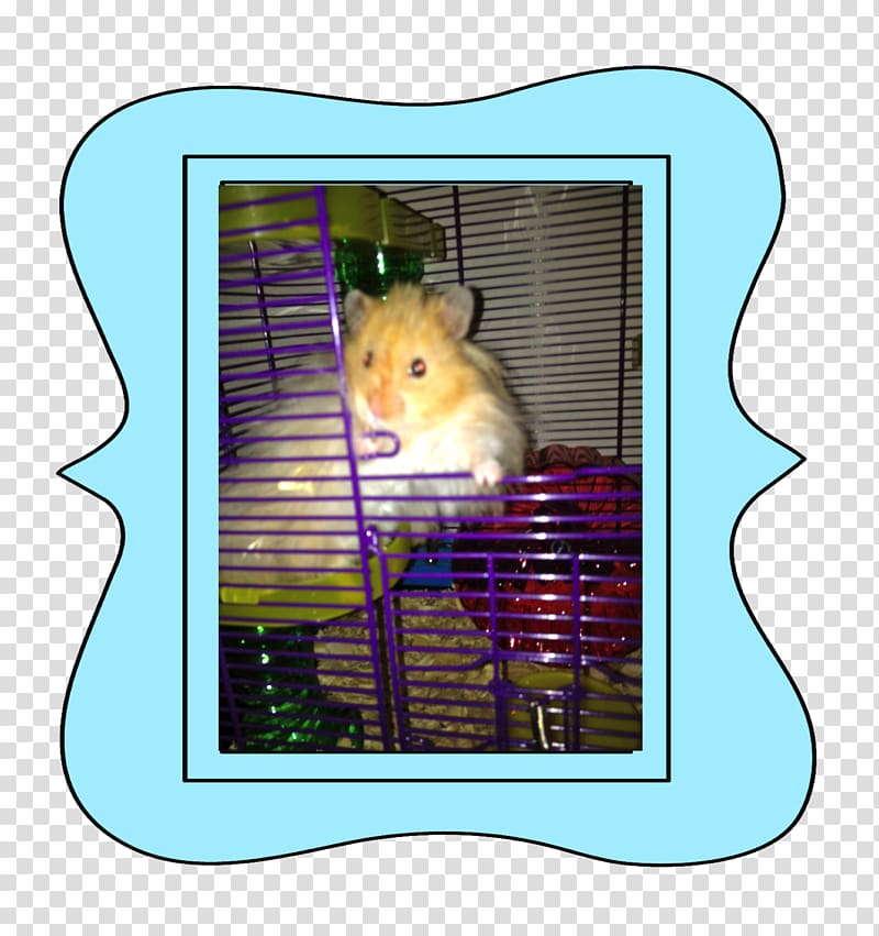 Hamster Care Teddy Bear Hamsters Rodent Hamster cage, hamster transparent background PNG clipart