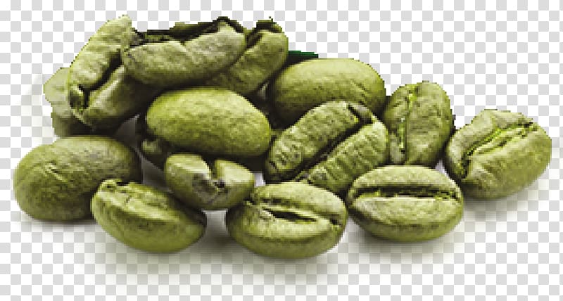 Green coffee extract Energy drink Coffee bean, green coffee bean transparent background PNG clipart