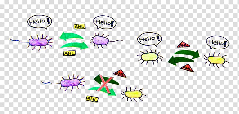 Bacteria Unicellular organism Archaeans Microorganism, Homoserine transparent background PNG clipart