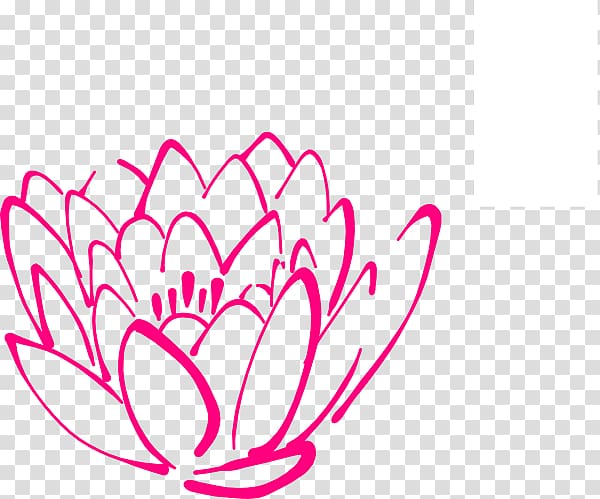 Nelumbo nucifera Egyptian lotus , Pink Lotus transparent background PNG clipart
