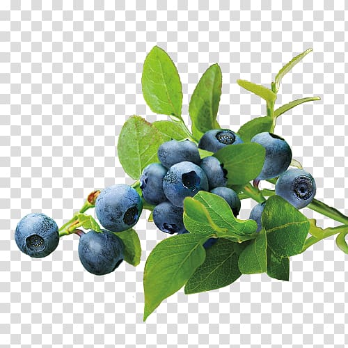 Blueberry Tea Organic food, blueberries transparent background PNG clipart