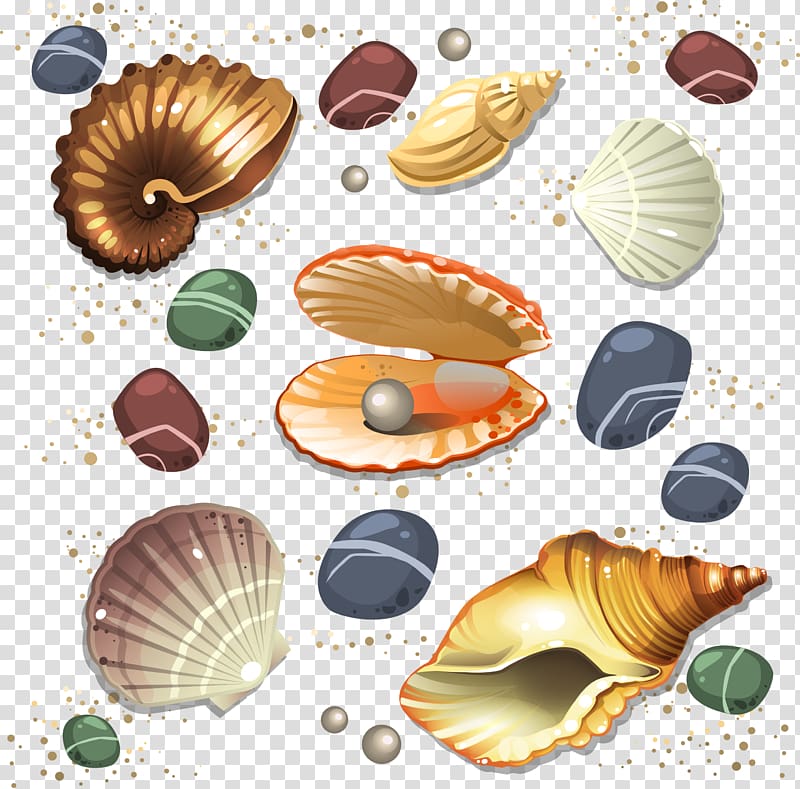Seashell Conch Scalable Graphics, conch transparent background PNG clipart