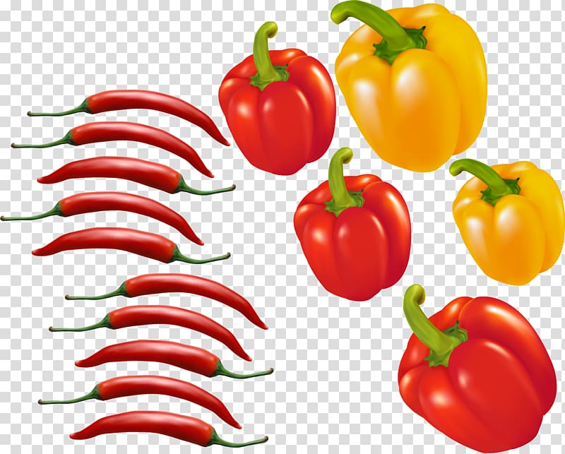 Bell pepper Chili pepper Tomato Euclidean , Red chili pepper material Pepper transparent background PNG clipart