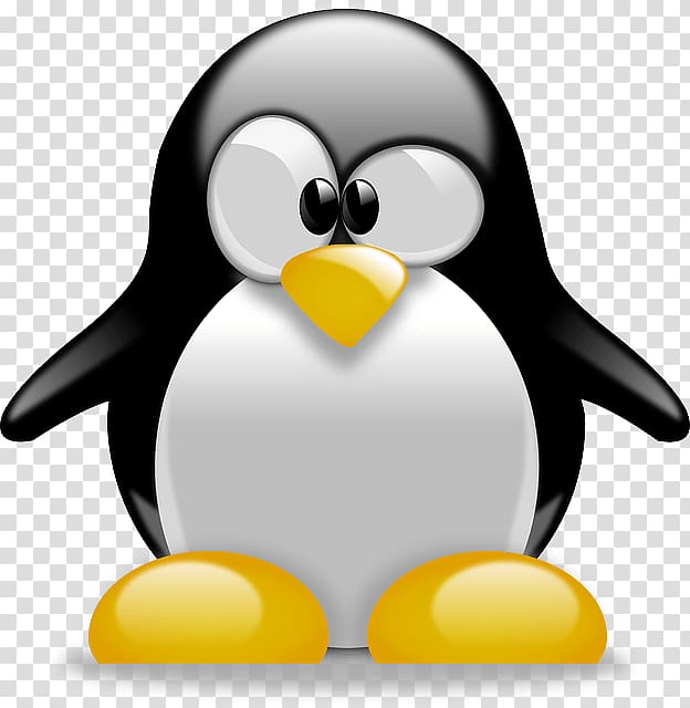 Penguin Cartoon , Linux logo transparent background PNG clipart