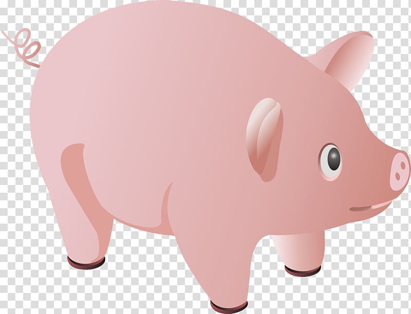 Domestic pig Wilbur Piggy bank, pig transparent background PNG clipart