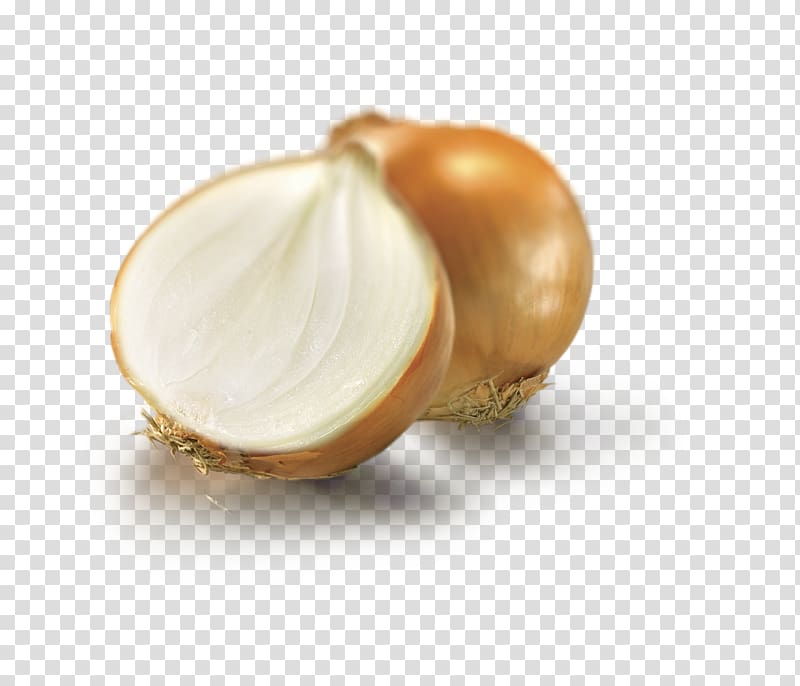 Sofrito Shallot Yellow onion Food Ingredient, vegetable transparent background PNG clipart