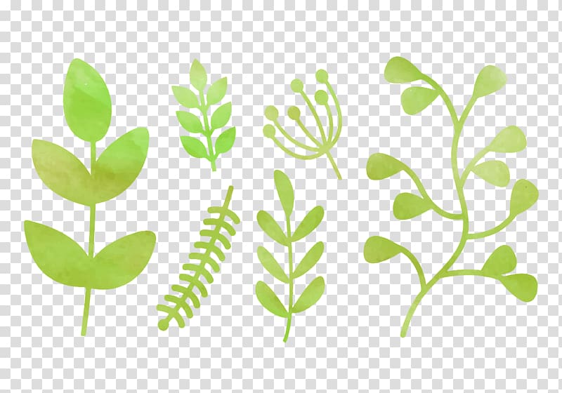 Leaf Green Watercolor painting Nature, watercolor greenery transparent background PNG clipart