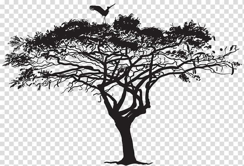 tree silhouette, Bird Tree Silhouette Flock, Exotic Tree and Bird Silhouette transparent background PNG clipart
