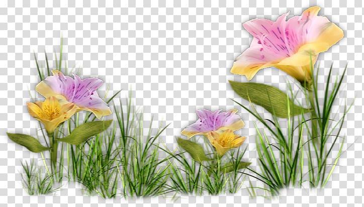 Desktop Portable Network Graphics Blog Printemps, floral cluster transparent background PNG clipart