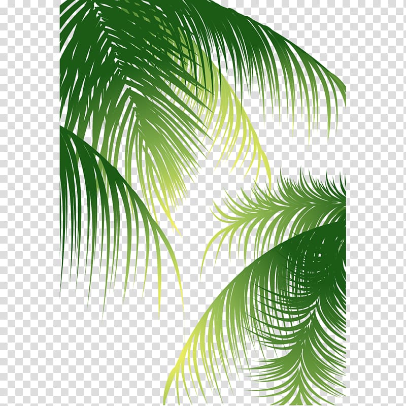 green leaf, Euclidean Arecaceae Coconut, Coconut tree material transparent background PNG clipart