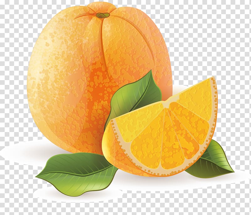 Orange juice Tangerine Mandarin orange, Orange decoration design transparent background PNG clipart