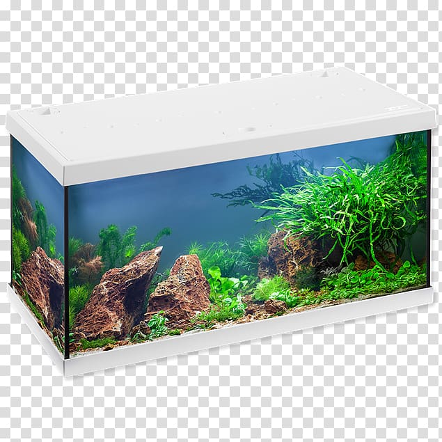 Aquarium Light-emitting diode Eheim Lighting, light transparent background PNG clipart