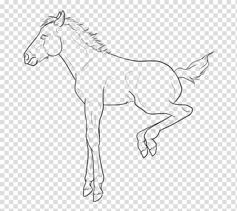 Foal Mule Thoroughbred Line art Mustang, mustang transparent background PNG clipart