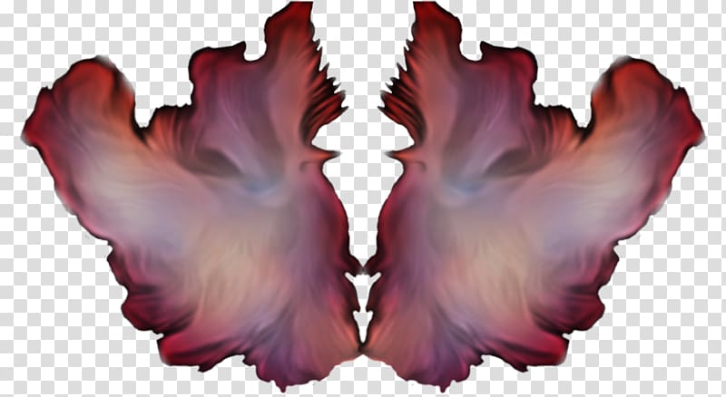 Doves as symbols Artist , flame transparent background PNG clipart