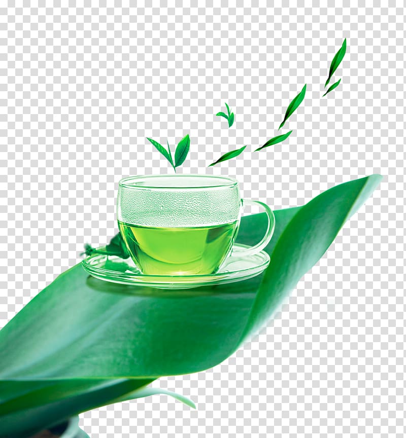 green tea on green leaf , Green tea White tea Cup, green tea transparent background PNG clipart