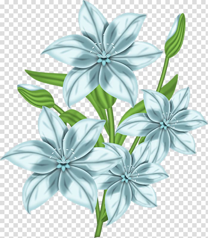 Animaatio Birthday , flores blancas transparent background PNG clipart