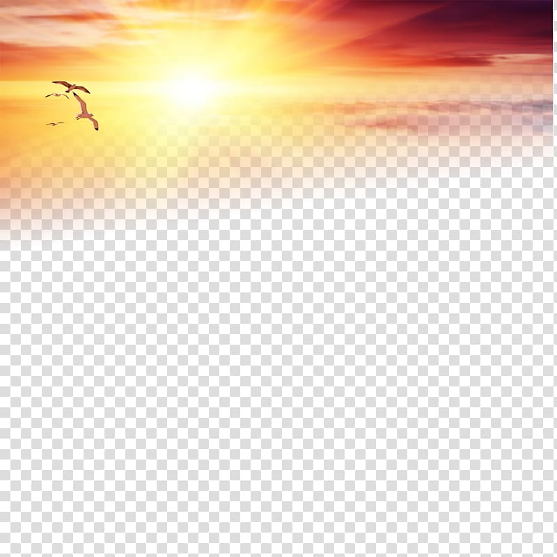 , Lofty sunset under the solitary goose, birds in flight above sea of clouds during golden hour transparent background PNG clipart
