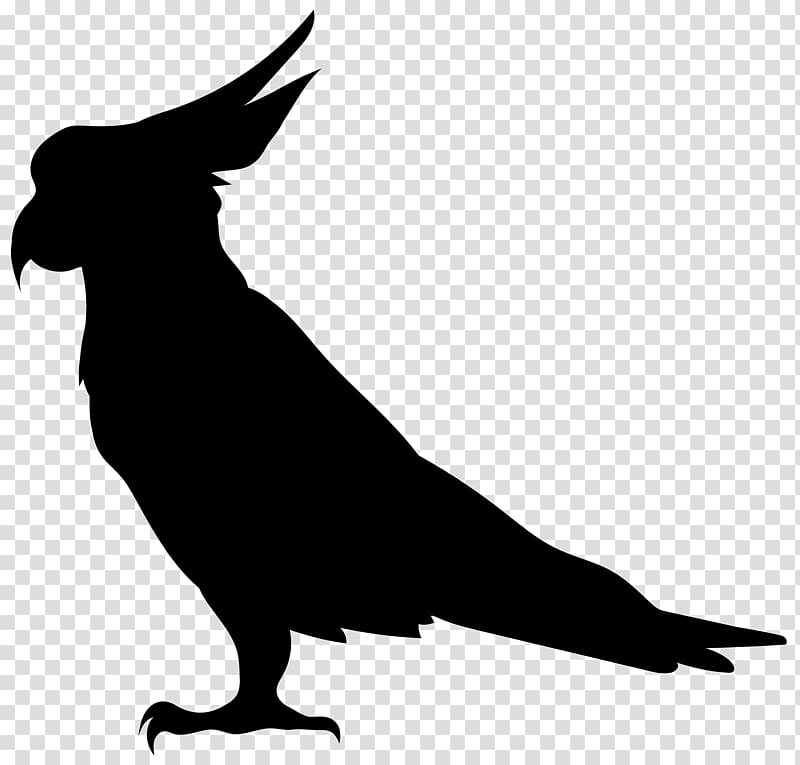 Bird Silhouette Illustration, Parrot Silhouette transparent background PNG clipart