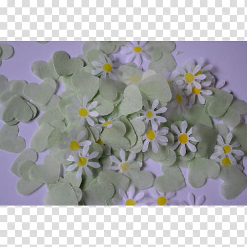 Petal Colony of New Brunswick Common daisy Confetti Tissue, Confetti transparent background PNG clipart
