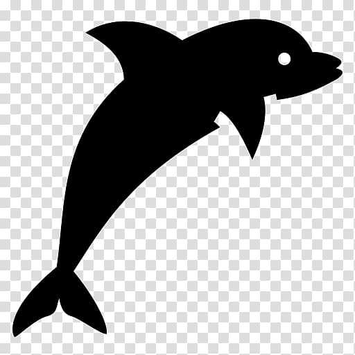 Dolphin Drawing , pirate transparent background PNG clipart