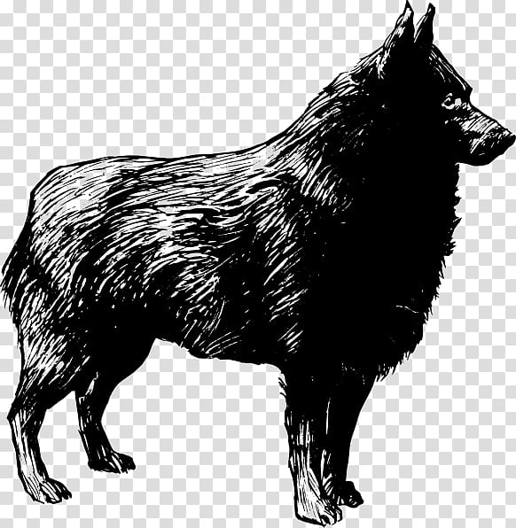 Schipperke German Shepherd Tamaskan Dog , others transparent background PNG clipart