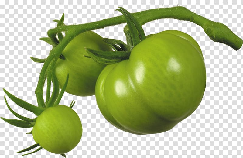 Tomato juice Cherry tomato Fried green tomatoes Italian tomato pie Tomatillo, Green tomato transparent background PNG clipart