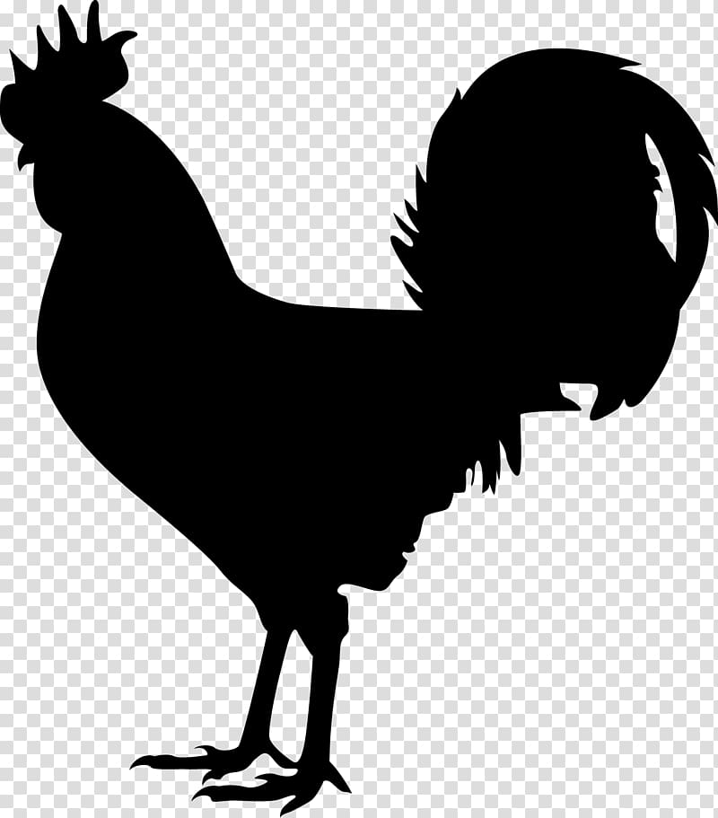 American Game Old English Game fowl Sumatra chicken Wall decal Sticker, rooster transparent background PNG clipart