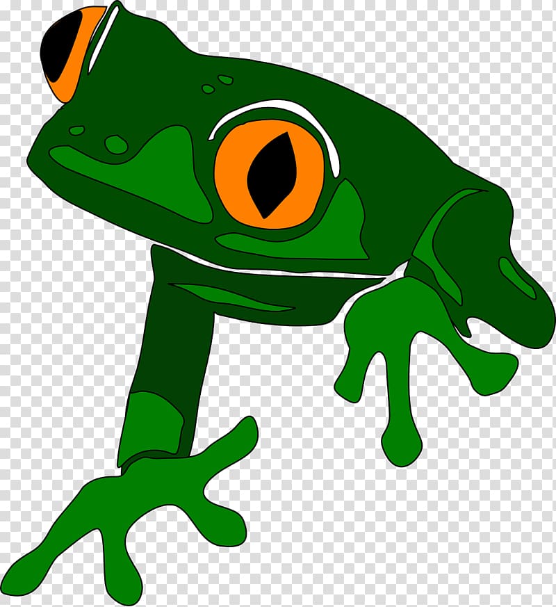 Red-eyed tree frog Japanese tree frog , Free Amphibians transparent background PNG clipart