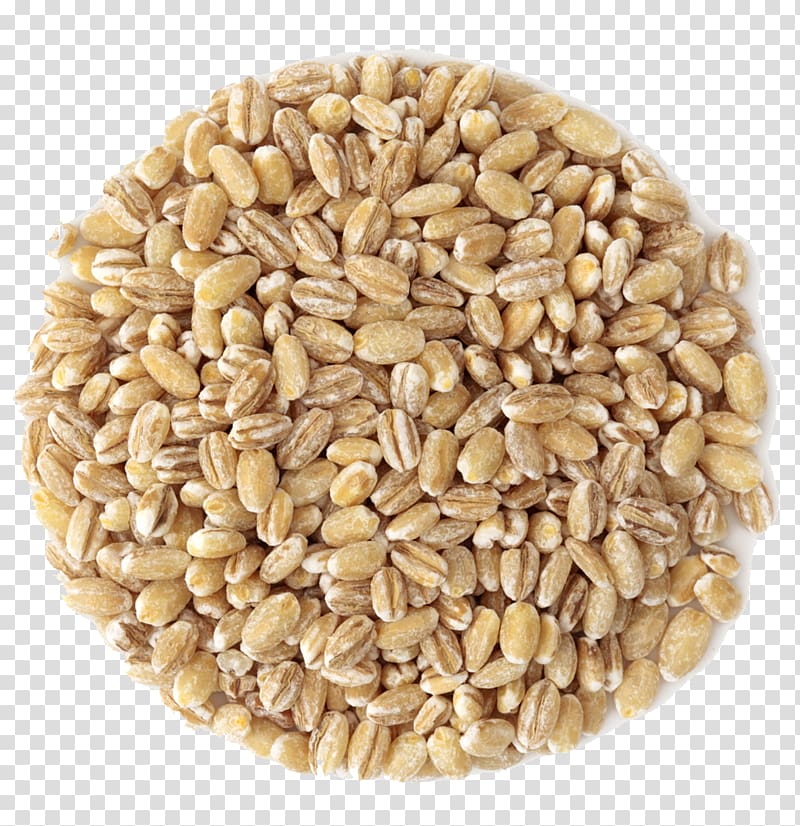 Spelt Breakfast cereal Whole grain, barley transparent background PNG clipart