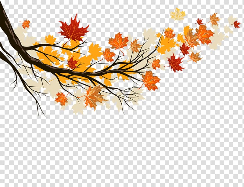 Autumn leaf color Maple leaf, Autumn leaves transparent background PNG clipart
