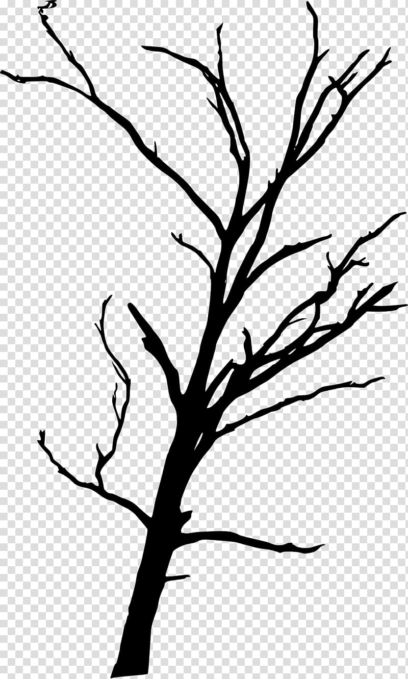 Tree Branch Woody plant , dead tree transparent background PNG clipart