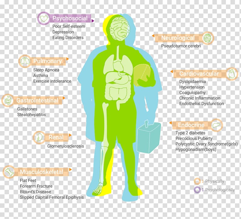 Childhood obesity Complication Health, obesity transparent background PNG clipart