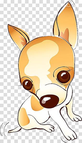 lovely chihuahua transparent background PNG clipart