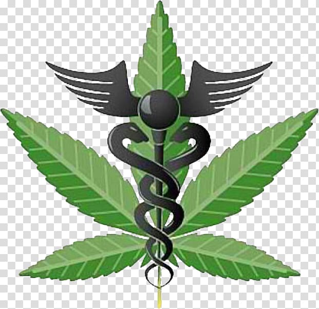 Medical cannabis Medical marijuana card Dispensary Cannabis shop, cannabis transparent background PNG clipart