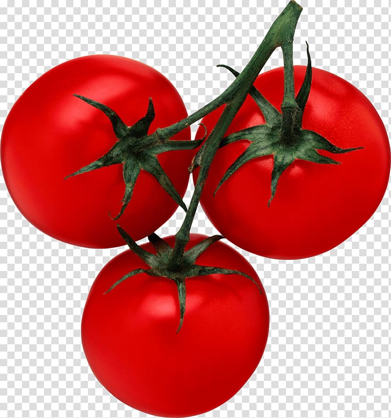 Tomato juice Cherry tomato Salsa , Tomato transparent background PNG clipart