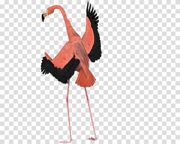 Bird Flamingo YouTube Art, flamingo free patch transparent background PNG clipart