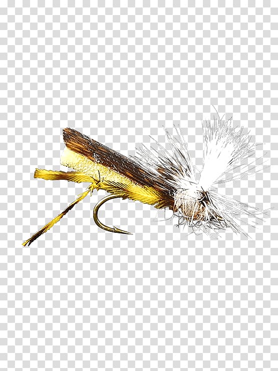 https://p7.hiclipart.com/preview/200/537/123/artificial-fly-hackles-insect-holly-flies-fly.jpg