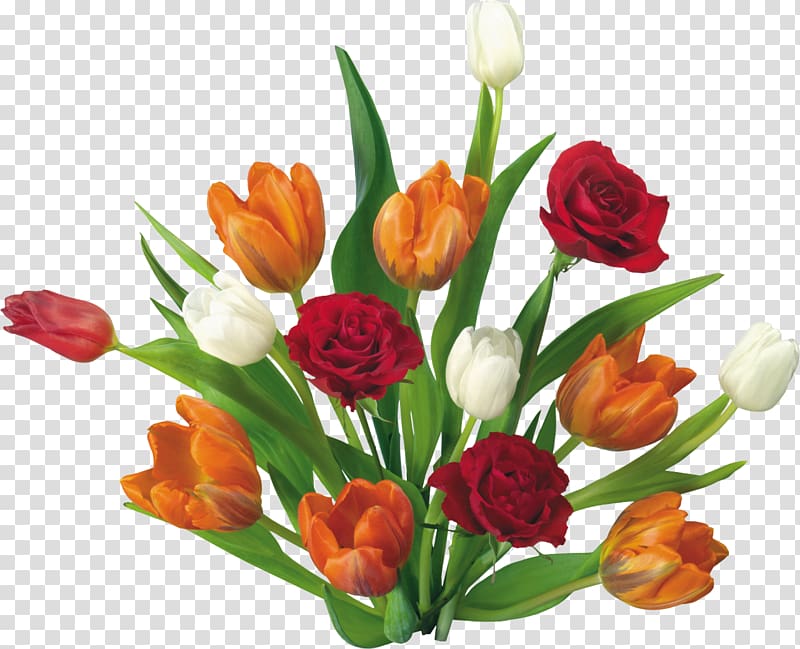 Quotation Greeting & Note Cards Thought Saying Wish, tulip transparent background PNG clipart
