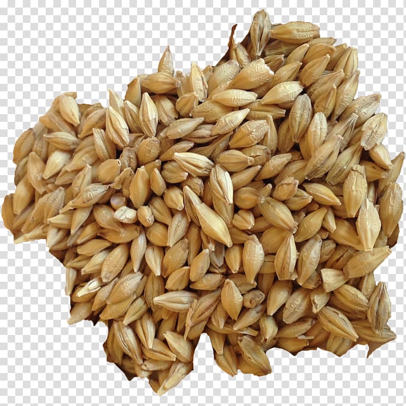 Organic food Barley Sprouting Sprouted bread Cereal, barley transparent background PNG clipart