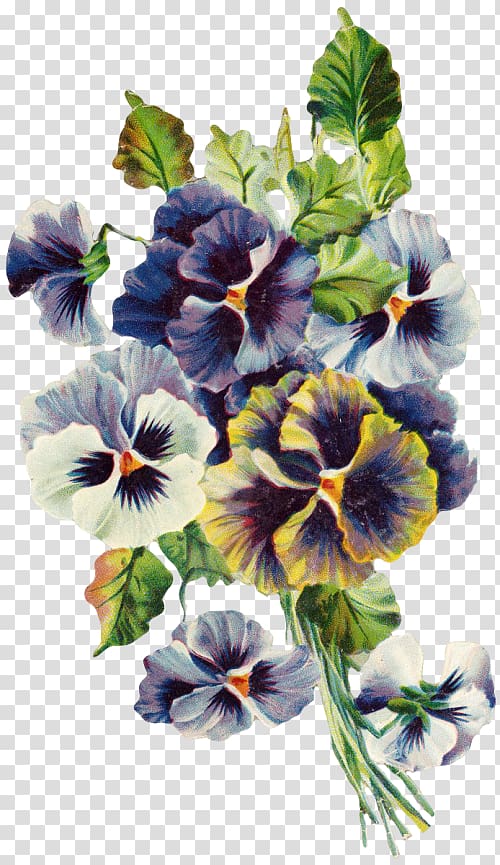Pansy Violet Viola mandshurica Watercolor painting, pansy transparent background PNG clipart