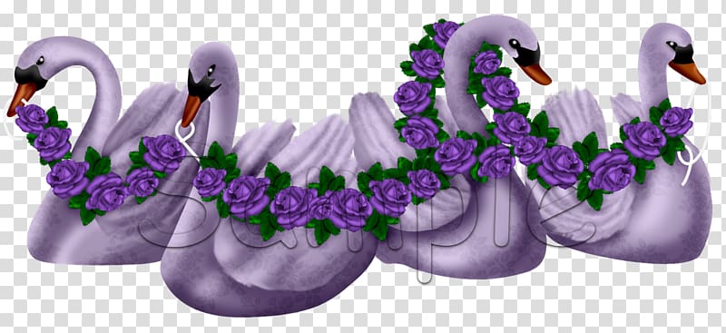 Lavender Lilac Violet Water bird Purple, love swan transparent background PNG clipart